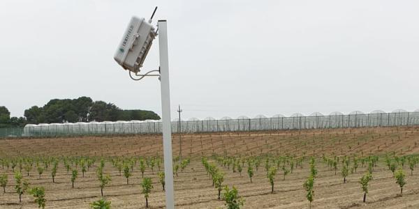 L'irrigazione? Si comanda dallo smartphone